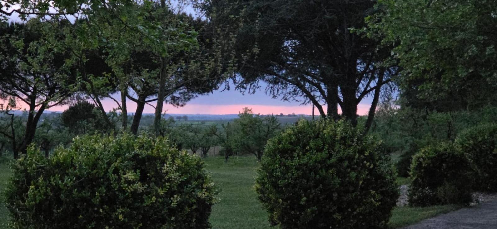 Gite De Beausoleil La Romieu ภายนอก รูปภาพ